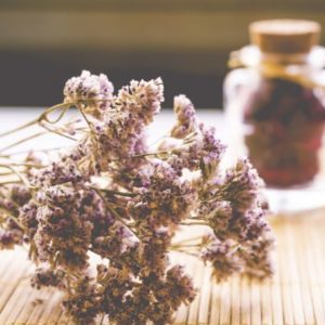 Herbal Prescriptions for Adrenal fatigue; Understanding The Evidence and Energetics