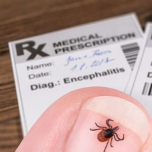 Lyme Disease: Antibiotics & Other Treatments