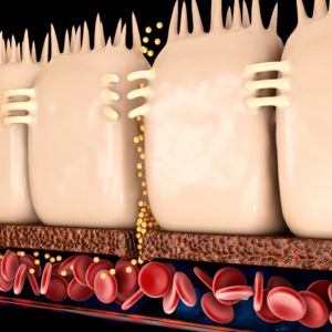 Leaky Gut 101