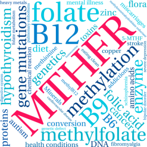 Optimizing Health through Methylation